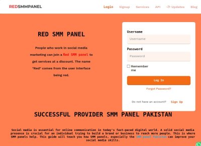 Successful Provider SMM Panel Pakistan in 2024
